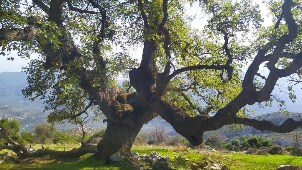 Hiking in Hermione Hercules