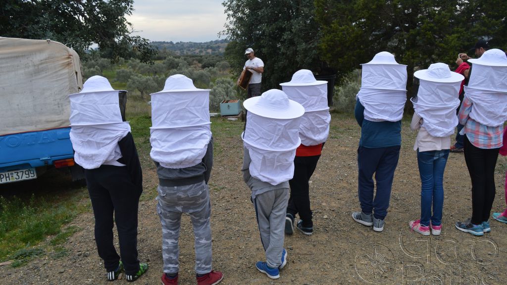 Honey tasting